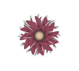 Blooming flowers of different colors, shapes- Each one is unique and beautiful 