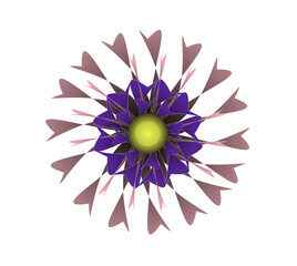 Blooming flowers of different colors, shapes- Each one is unique and beautiful 