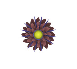Blooming flowers of different colors, shapes- Each one is unique and beautiful 