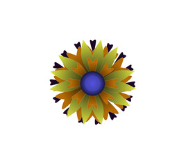 Blooming flowers of different colors, shapes- Each one is unique and beautiful 