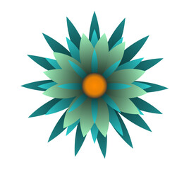 Blooming flowers of different colors, shapes- Each one is unique and beautiful 