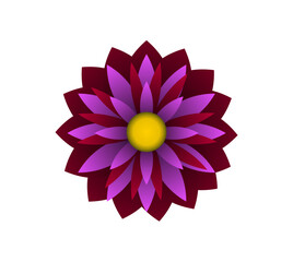 Blooming flowers of different colors, shapes- Each one is unique and beautiful 