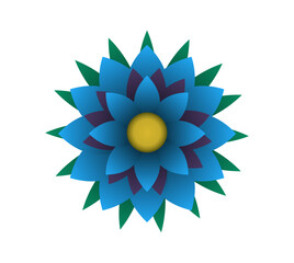 Blooming flowers of different colors, shapes- Each one is unique and beautiful 