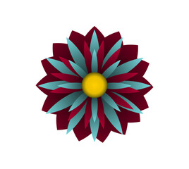 Blooming flowers of different colors, shapes- Each one is unique and beautiful 