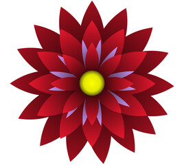 Blooming flowers of different colors, shapes- Each one is unique and beautiful 