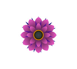 Blooming flowers of different colors, shapes- Each one is unique and beautiful 