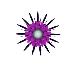 Blooming flowers of different colors, shapes- Each one is unique and beautiful 