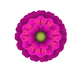 Blooming flowers of different colors, shapes- Each one is unique and beautiful 