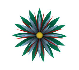 Blooming flowers of different colors, shapes- Each one is unique and beautiful 