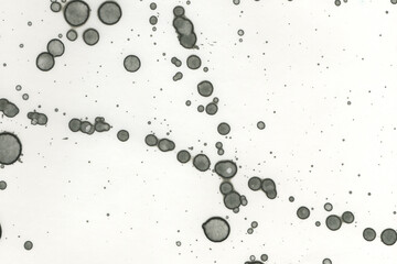 Abstract art with alcohol ink and watercolor. Modern Art. Interior picture