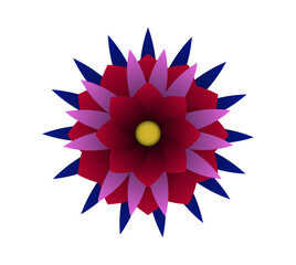 Blooming flowers of different colors, shapes- Each one is unique and beautiful 