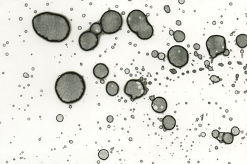 Abstract art with alcohol ink and watercolor. Modern Art. Interior picture