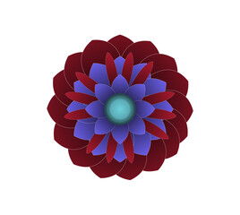 Blooming flowers of different colors, shapes- Each one is unique and beautiful 