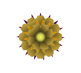 Blooming flowers of different colors, shapes- Each one is unique and beautiful 