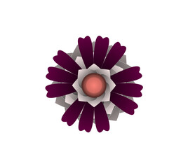 Blooming flowers of different colors, shapes- Each one is unique and beautiful 