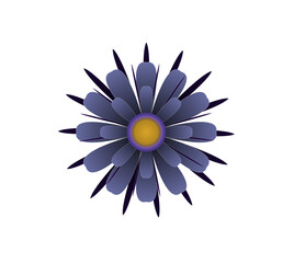 Blooming flowers of different colors, shapes- Each one is unique and beautiful 