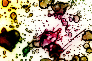 Abstract art with alcohol ink and watercolor. Modern Art. Interior picture