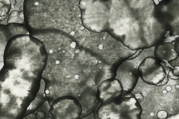 Abstract art with alcohol ink and watercolor. Modern Art. Interior picture