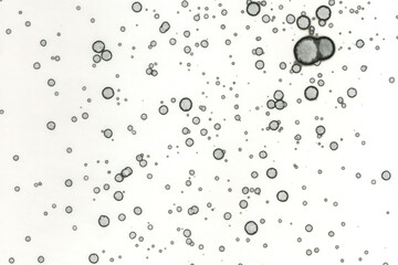 Abstract art with alcohol ink and watercolor. Modern Art. Interior picture