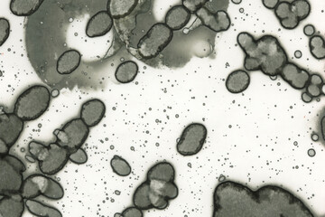 Abstract art with alcohol ink and watercolor. Modern Art. Interior picture