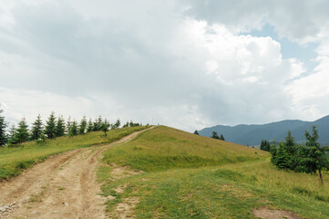 Fototapeta premium Green Ukrainian mountains. Summer time. Beautiful views of the largest peaks.