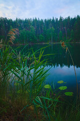 Fototapete bei efototapeten.de bestellen   