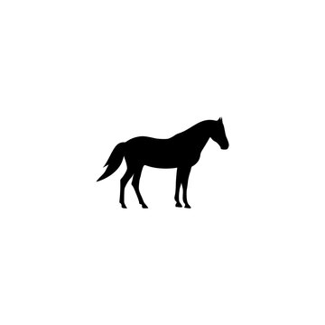 Horse silhouette icon isolated on white background