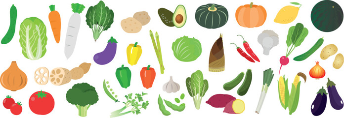Big collection of colorful hand drawn fresh vegetables, isolated on white background. Set of healthy vegan products. Vector illustration - obrazy, fototapety, plakaty