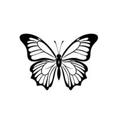 Fototapeta na wymiar Butterfly icon isolated on white background