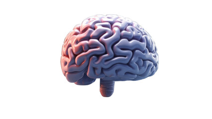 3D brain model in pink and blue shades isolated on transparent background