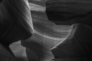 Black and White Sandstone