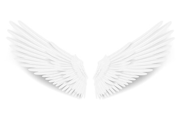 Realistic wings. Angel wings. White isolated pair of falcon wings, 3D bird wings design template.