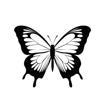 Butterfly icon isolated on white background