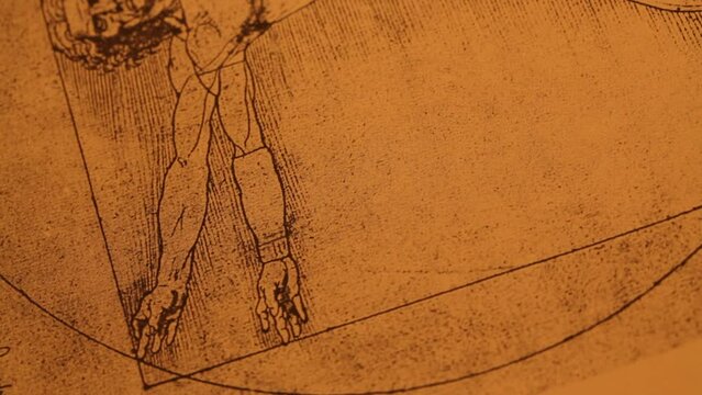 Close up of ancient anatomy drawings