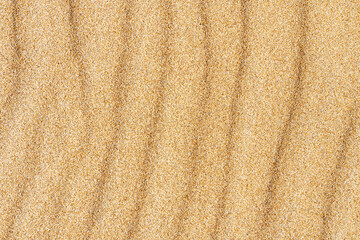 Fototapeta na wymiar Sand summer texture. Close-up sand wave dune background. Copy space for text. Top view.