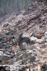 Scattered Stones, Lifeless Trees the Crater