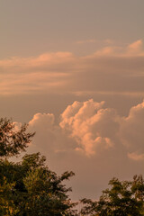 white clouds in the sky, illuminated by a bright orange sun, during sunset, with treetops in the background