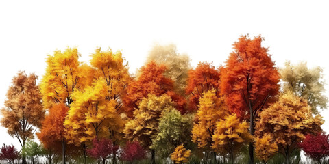 Autumn forest isolated on transparent background - Generative AI