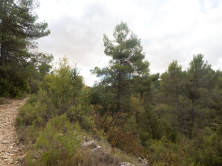 Vistas en la ruta de senderismo de la Hoz de Alarcón, Hoz de Alarcón, Alarcón, Cuenca, Castilla...