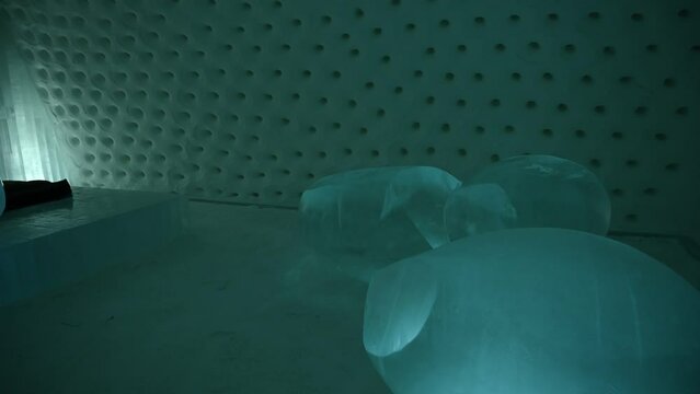  visit in Ice Hotel. Room Art made with Ice.