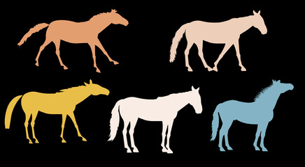Pferde Pattern, Tiere, Vektorgrafik, Zoothema