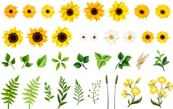 Set of yellow and orange sunflowers, white daisy flowers, dandelion flowers, gerbera flowers, and green leaves and grasses isolated on a white background. Vector illustration