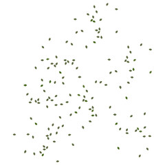 3d rendering falling green leaves isolated png