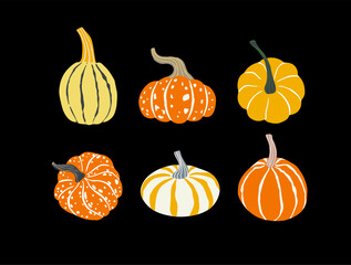 Cute orange and yellow decorative pumpkins of various shapes. Autumn, Thanksgiving, Halloween, harvest element set. Cartoon hand drawn pumpkin illustration.