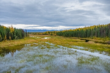 Fall Scenery from the Train along the Alaska Railroad from Anchorage to Denali