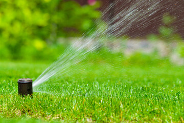 sprinkler spraying water