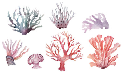 Set of marine multicolored corals, watercolor illustration.