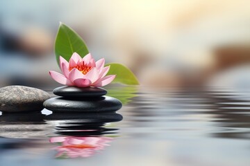 Fototapeta na wymiar Zen meditation harmony. Beautiful lotus flower.