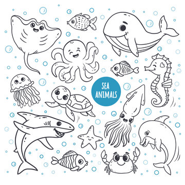 Set with Sea animals. Hand drawn sea life elements. Marine life objects for your design. Doodle style . Vector illustration © Alina