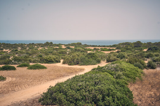 Naturschutzgebiet Punta de n'Amer zwischen Cala Millor und Sa Coma auf Mallorca